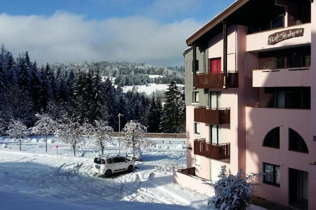 Appartement Montagne La Vallee Verte Coeur Station Hirmentaz Bellevaux Extérieur photo